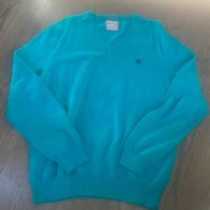 Express large teal sweater